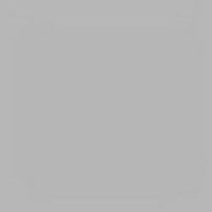 Meet your Posher, Tallulah